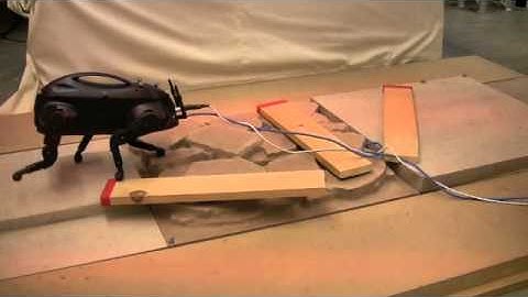 LittleDogCompliantLocomotion.mp4