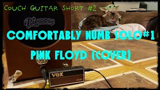 Video thumbnail of "Comfortably Numb solo#1 Pink Floyd (cover)"