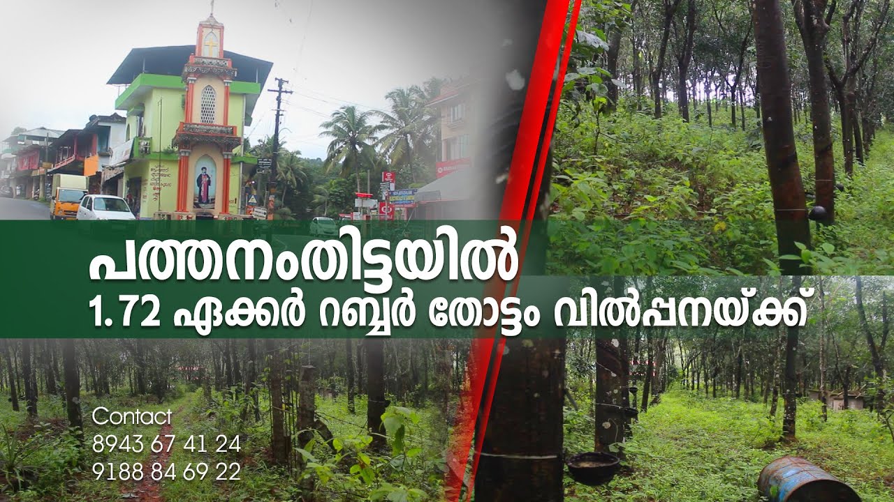 LAND FOR SALE IN PATHANAMTHITTAAGRICULTURAL LAND IN PATHANAMTHITTA