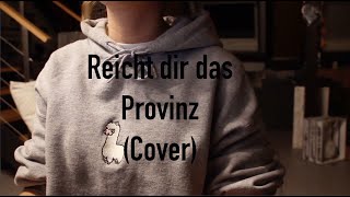 Video thumbnail of "Reicht dir das - Provinz || Cover loooni"