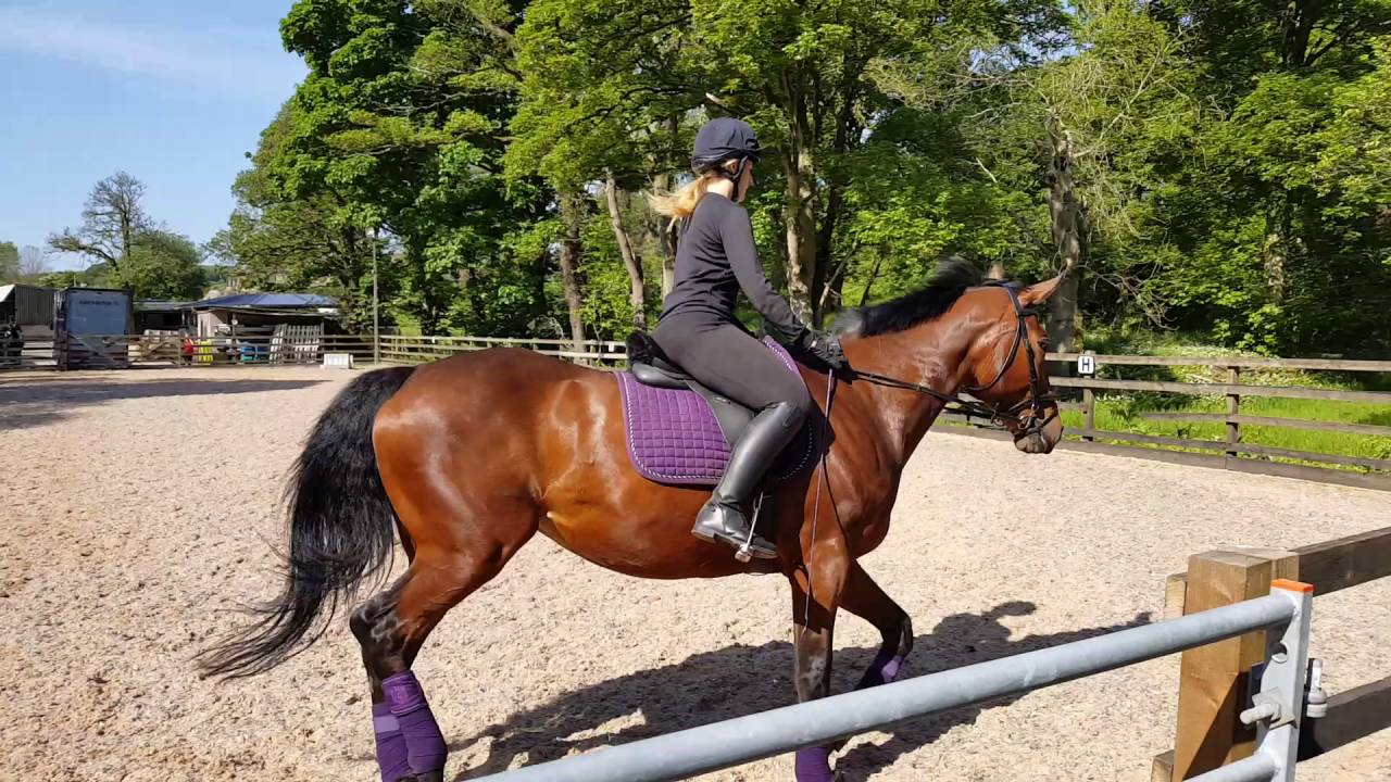 Intro C 29.5.16 Emily Stafford