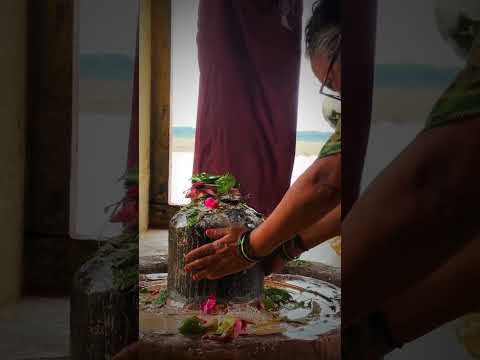 ॐ नमः शिवाय 🙏 महादेव की अद्भुत भक्ति | Mahadev Bhakti Shorts #kedarnath #mahadevstatus
