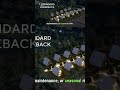 Découvrez les programmes Mini Condos Leaseback et Cashback : revenus garantis au Monténégro.