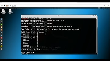 MySQL 3306 data exploit