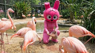 Zoo Adventure Pinki Finds Sprunki Among The Animals