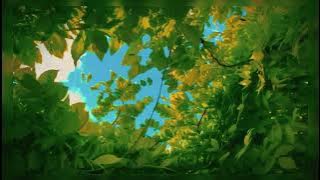 grass of ethics nahseed slowed reverb