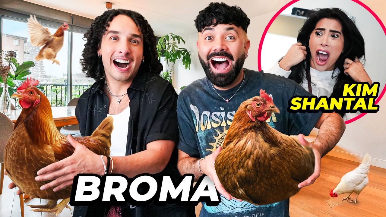 BROMA A KIM, METEMOS GALLINAS A SU DEPARTAMENTO