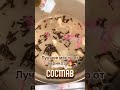 Что помогает от варикоза?