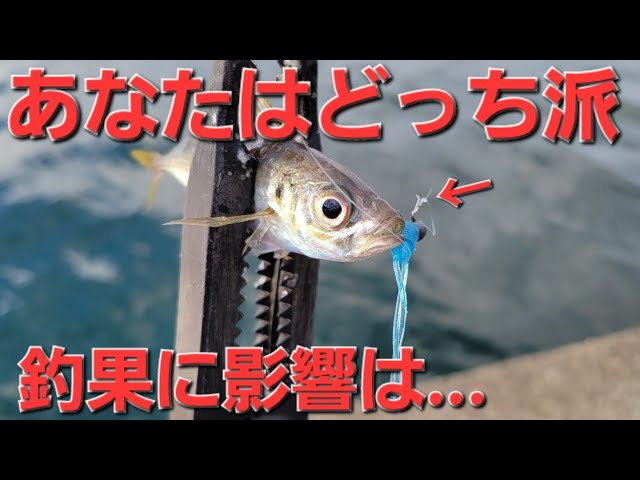 アジングで使う方と使わない方がはっきり割れるコレ。釣果が分かれる