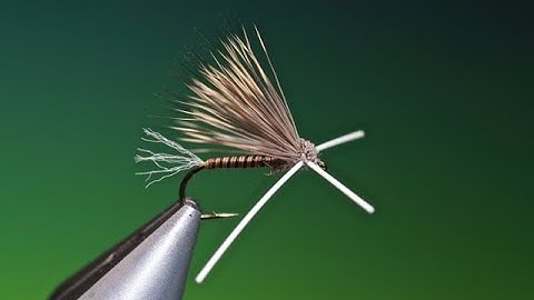 Fly Tying the X-Factor Caddis/Sedge with Barry Ord Clarke