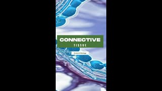 GENERAL BIOLOGY I | CONNECTIVE TISSUE - ANIMALS screenshot 4