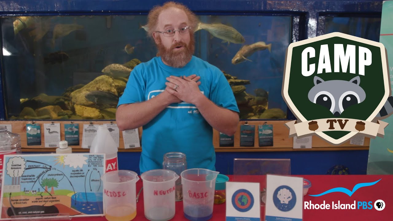 Ocean Acidification