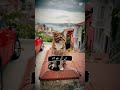 beautiful scenery#short#viral