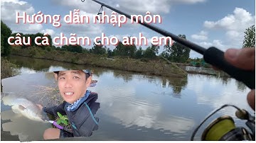 Chia sẽ cách câu cá chẽm (vược) thiên nhiên