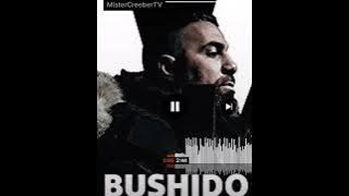 Sonny Black erster Schnee