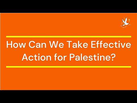 How Can We Take Effective Action for Palestine?
