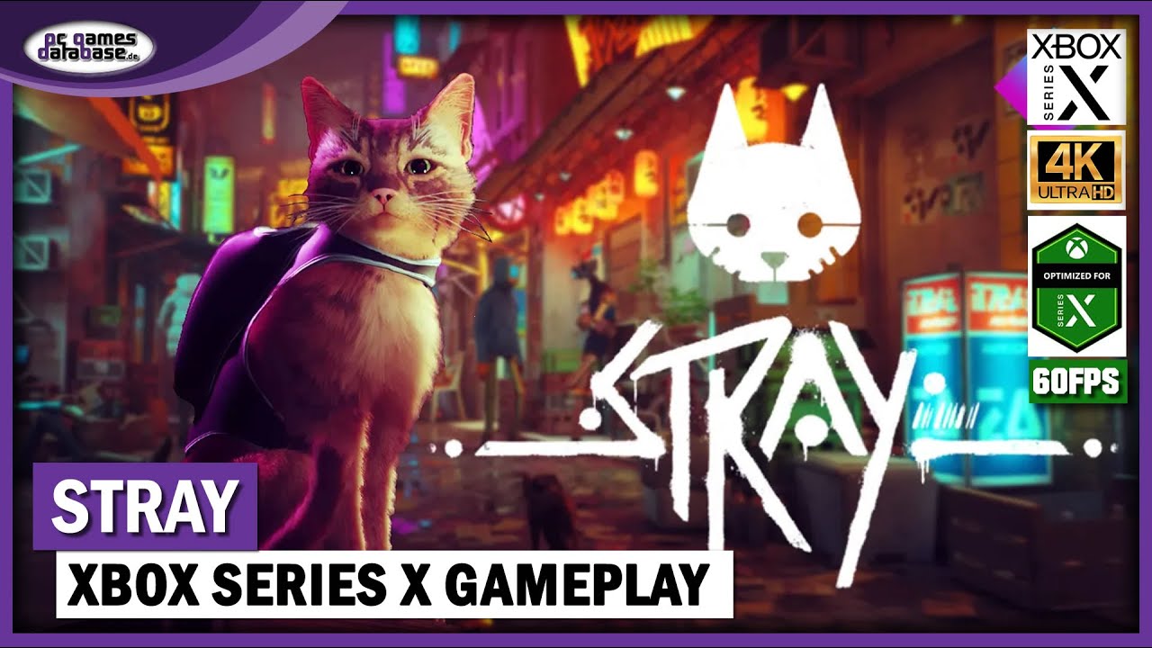 Stray - Die ersten 17 Minuten Gameplay Xbox Series X 4K - YouTube