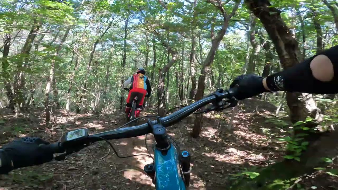 라인싱글 R에드 | 라인싱글 4 & 3-2