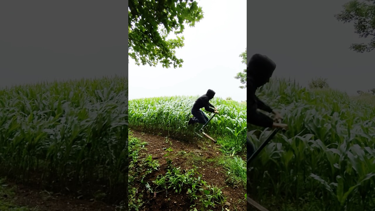 Triple tailwhip flat