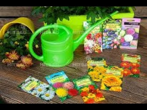 ОБЗОР СЕМЯН ОДНОЛЕТНИХ ЦВЕТОВ!!!