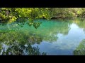 9-5-22 beautiful Homosassa Springs State Park