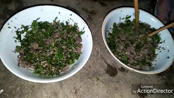 Pịa và tiết canh dúi - cách chế biến - lên rừng đào dúi - tập 2