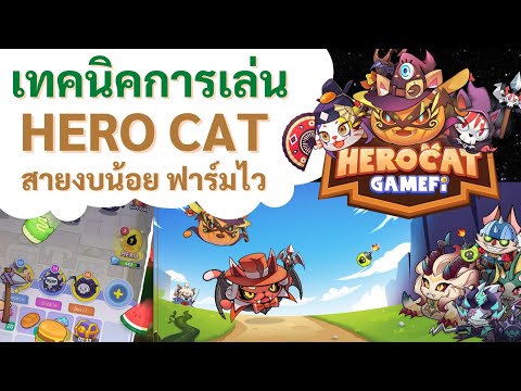 Hero Cat เทคนิคการเล่น สายงบน้อย ฟาร์มไว