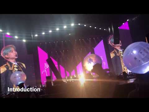 BTS LOVE YOURSELF WORLD TOUR CONCERT - Berlin ♥️ FULL CONCERT EXPERIENCE ✨💜