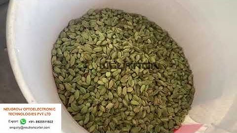 COLOR SORTER FOR CARDAMOM FROM NEUTRON