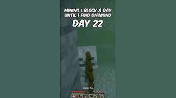 Mining 1 Block a Day Until I Find Diamond (Day 22)