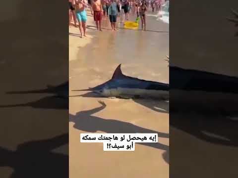 إيه هيحصل لو سمكه أبو سيف هاجمتك 