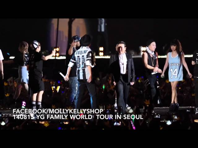 Bigbang-I love you (2ne1) (yg family concert) - YouTube