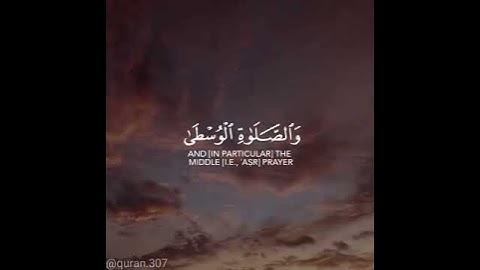 سورة البقرة حَافِظُوا عَلَى الصَّلَوَاتِ وَالصَّلَاةِ الْوُسْطَى وَقُومُوا لِلَّهِ قَانِتِينَ (238)