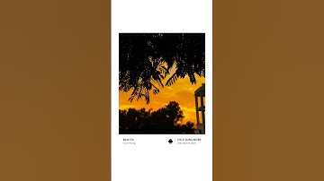 How to use Pro mode in mobile 📱 #smartphone #photography #photoediting