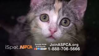 KNBC Commercial: End of Earth to Luna Intro to ASPCA Commercial