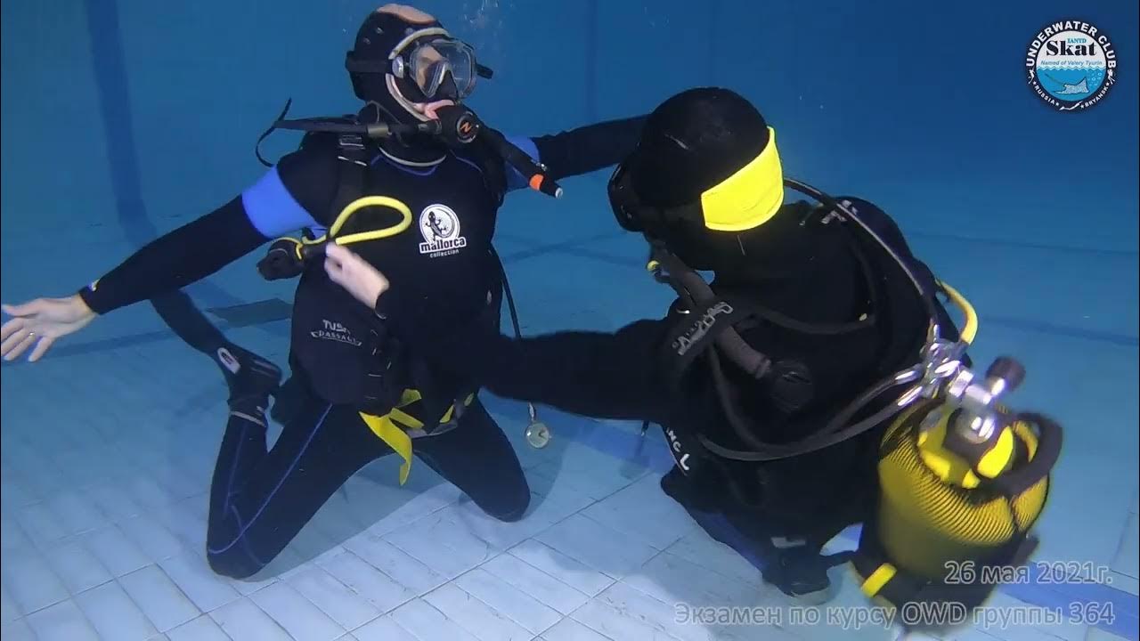 Спортсмен занимающийся дайвингом погрузился в воду 110. Скат дайвинг Брянск. Скат дайвинг Брянск клуб.