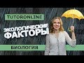 БиологияI Экологические факторы: абиотические, биотические и антропогенные.