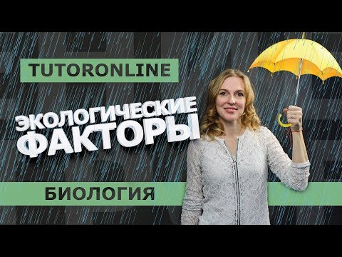 Видео: Какая связь между биотическими и абиотическими компонентами?