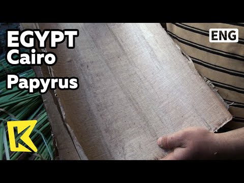 【K】Egypt Travel-Cairo[이집트 여행-카이로]고대 종이 파피루스 제작/Papyrus/Nile Delta/Producing/Paper