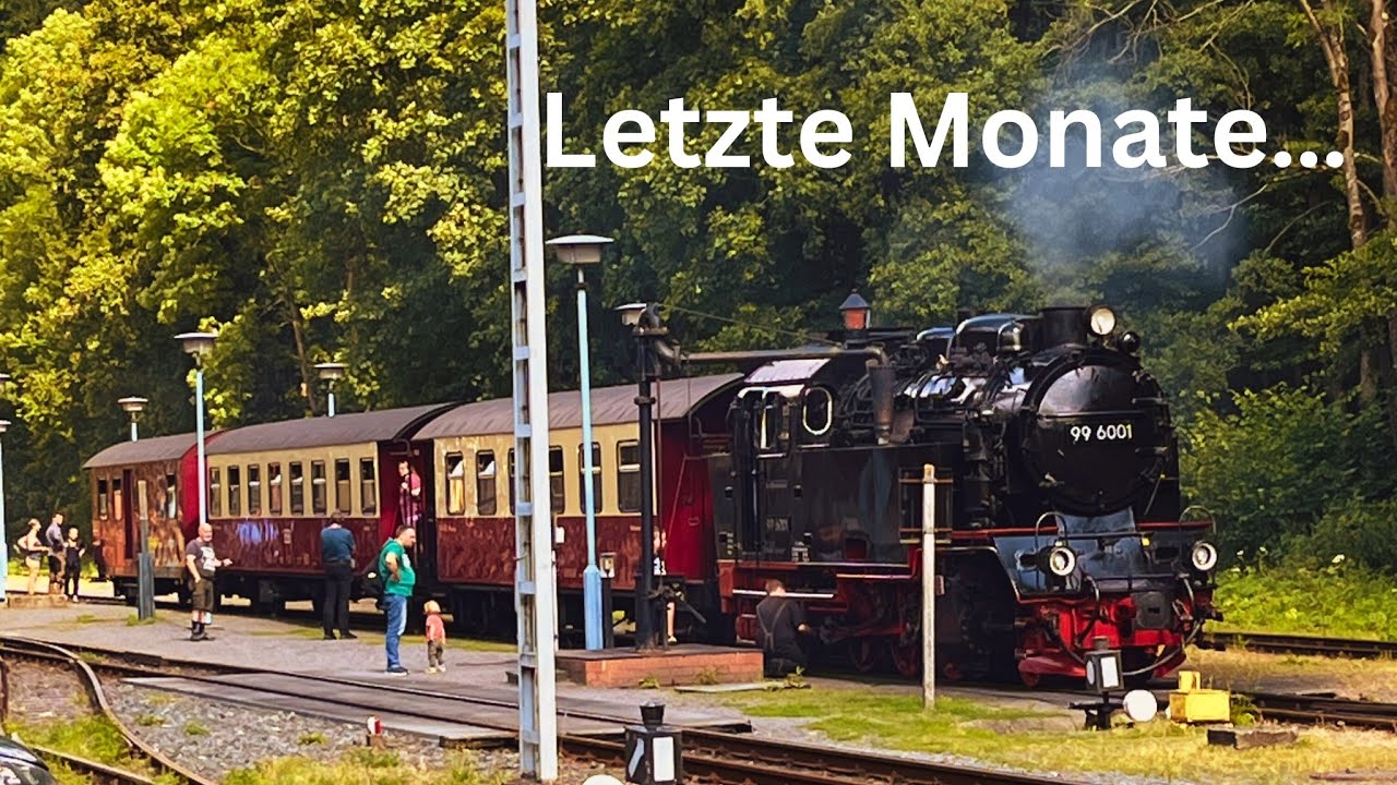 Als sie noch fuhr… Mit 99 6001 nach Hasselfelde🚂