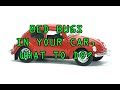 BED BUGS, MITES, FLEAS in the car! How to treat your car for bugs - it is possible to treat cars