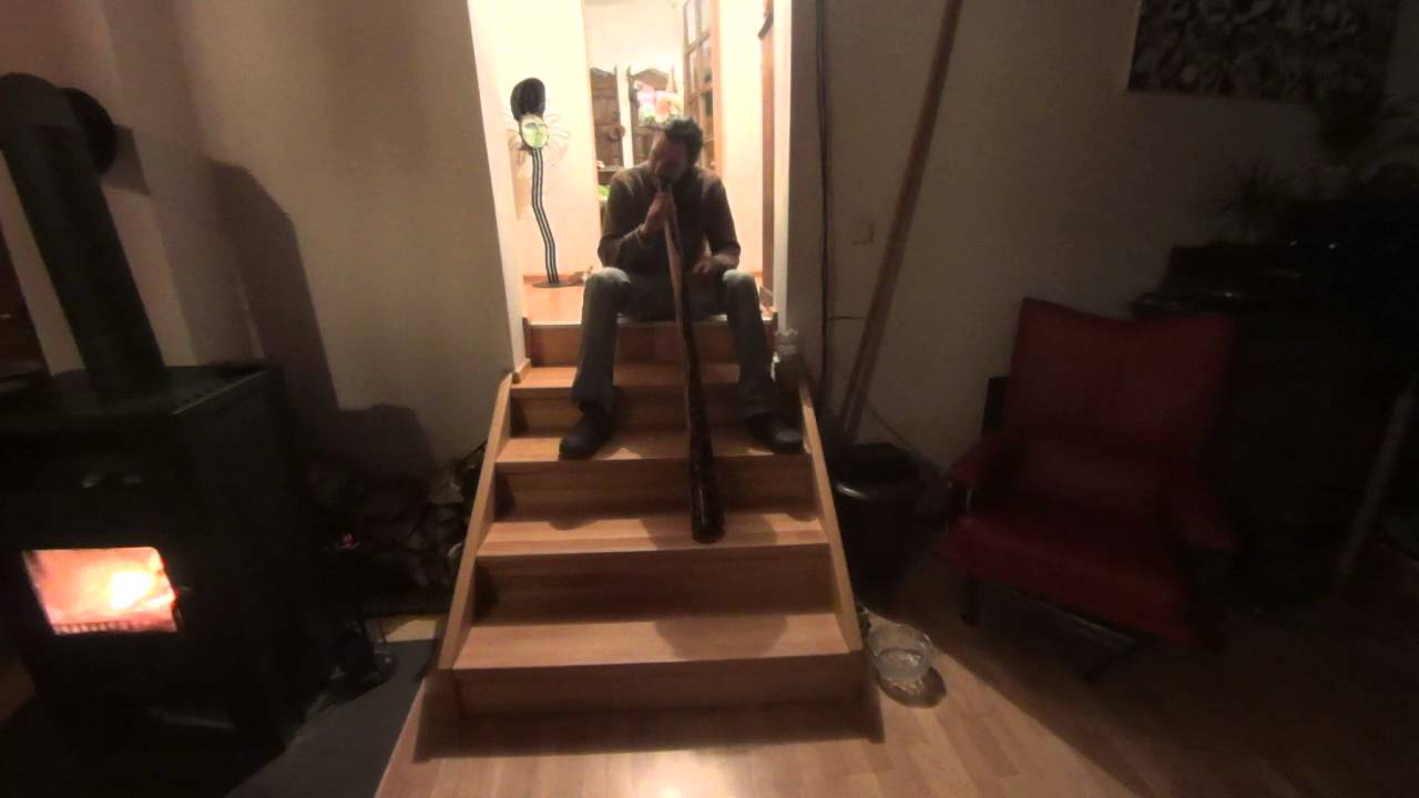 4 Eukalyptus Didgeridoo