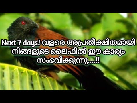 🙏✨Next 7 days! വളരെ അപ്രതീക്ഷിതമായി നിങ്ങളുടെ ജീവിതത്തിൽ ഇതു സംഭവിക്കുന്നു..!!🙏✨✨🧿🧿🪶🪶🪶🧚🧚🧚🧚🧚🙌🙌🙌🤗