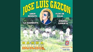 Video thumbnail of "José Luis Gazcón - Regalo de Bodas (Lo Dijo El Cura)"