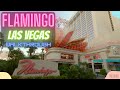 Las Vegas Nevada Flamingo Hotel Walk Through - YouTube