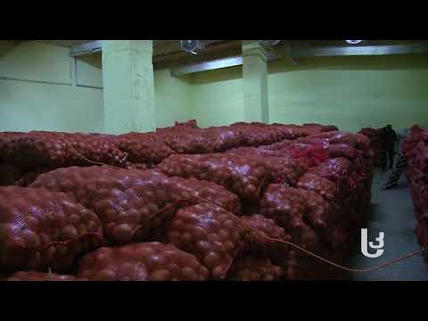 მეურნე: როგორ შევინახოთ კარტოფილი