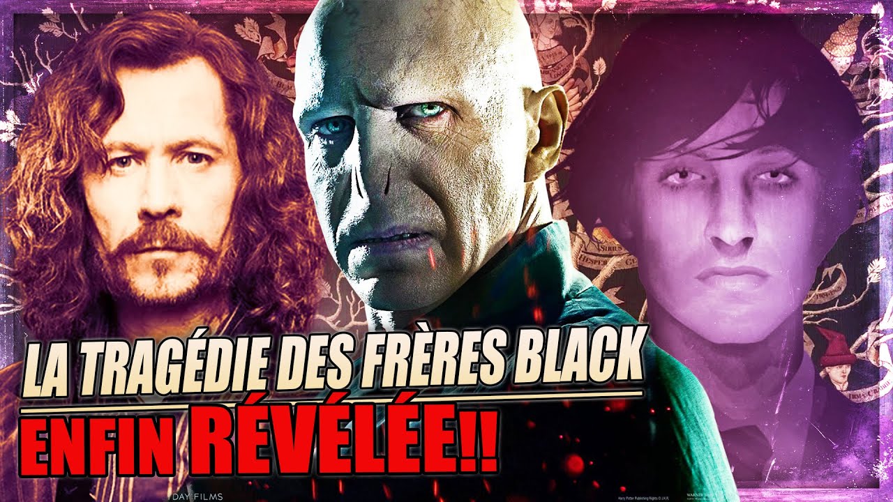 LA VÉRITÉ SUR LES SACRIFICES DE SIRIUS ET REGULUS BLACK CONTRE VOLDEMORT ! HARRY POTTER