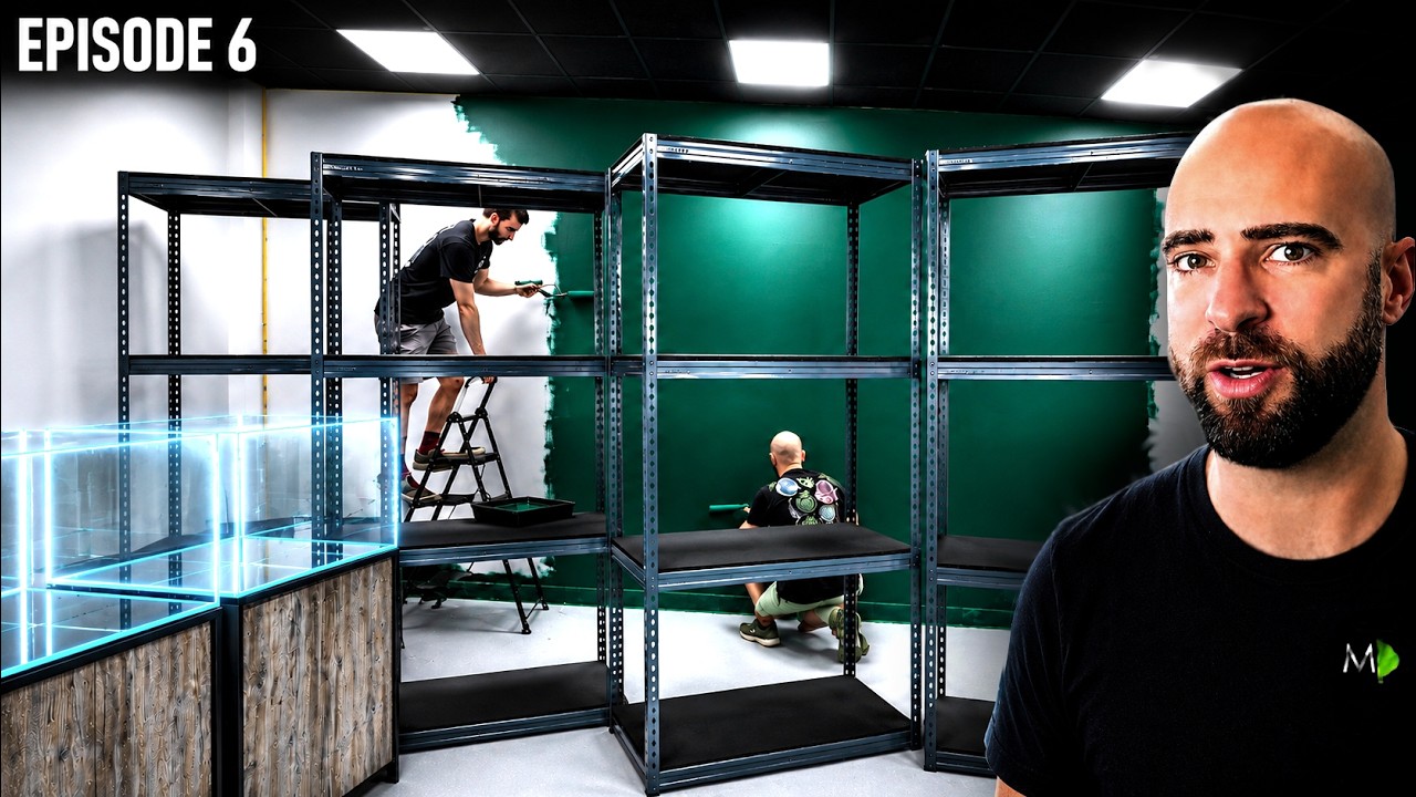 NEW MEZZANINE: 1st Tanks & Racking, Styling & Painting |EP06| Warehouse To Fish Studio