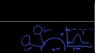 Shunting Inhibition Part II: Answer to Question Shunting Inhibition