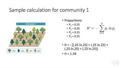 How to calculate Shannon Wiener Diversity Index